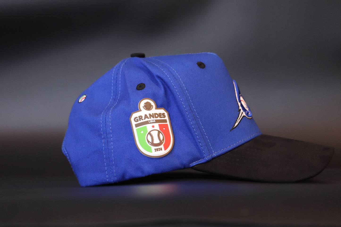 CHARROS JAL / PREMIUM 5 PANEL SNAPBACK W/ BLACK SUEDE BRIM